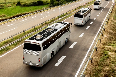 ���栝����ͨ����