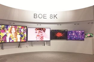 武漢招商服務(wù)不斷刷新 世界紀(jì)錄 4年打動(dòng)京東方