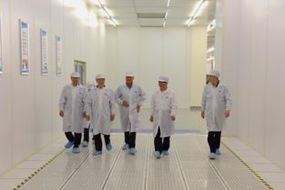 政協(xié)常委陳清泰 持續(xù)加大對(duì)武漢國(guó)家存儲(chǔ)器基地項(xiàng)目投入