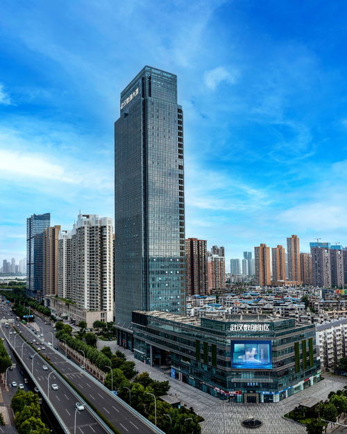 增強文化自信,加快適應(yīng)信息技術(shù)迅猛發(fā)展新形勢 武漢黨員干部群眾學習領(lǐng)會黨的二十屆三中全會精神之五 武漢市人民政府門戶網(wǎng)站