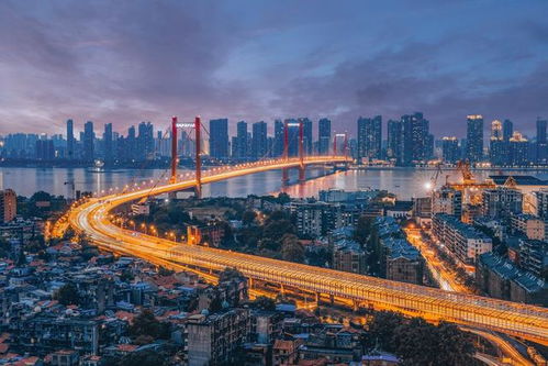 武漢77個項目招商引資,14個項目涉及人工智能 智能制造